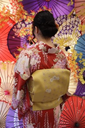 名古屋帯プラン