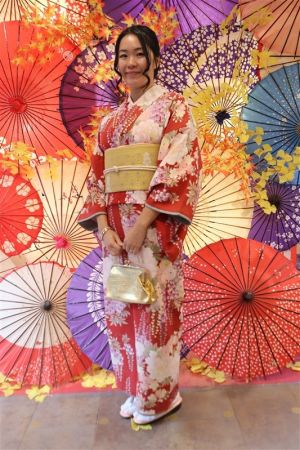 名古屋帯プラン