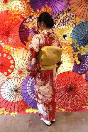 名古屋帯プラン