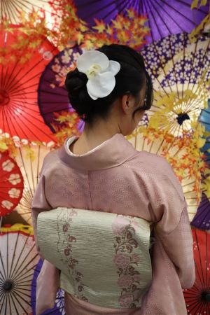 名古屋帯プラン