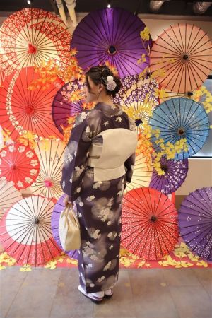 名古屋帯プラン