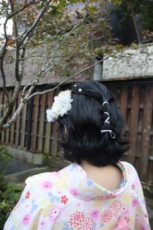 フリーチョイスヘアセット