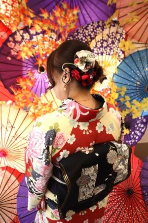 名古屋帯プラン