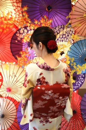 名古屋帯プラン