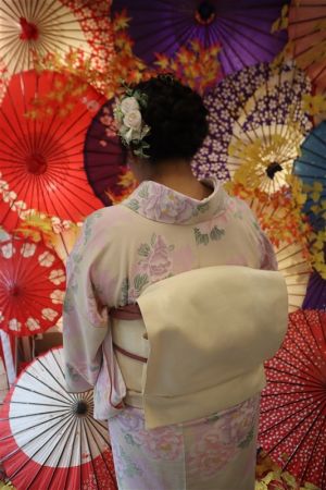 名古屋帯プラン