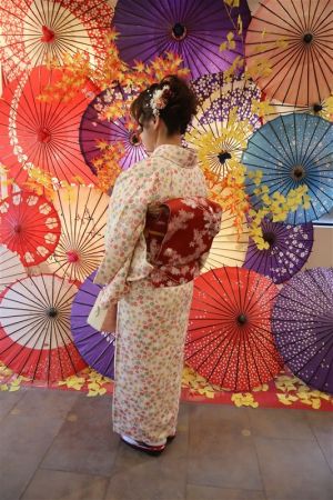 名古屋帯プラン