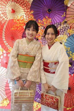 名古屋帯プラン