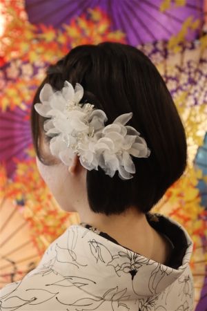 8チョイスヘアーセット