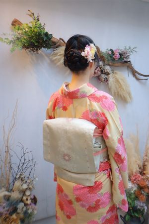 名古屋帯プラン