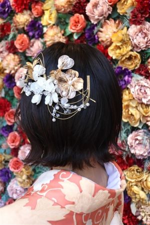 フリーチョイスヘアセット