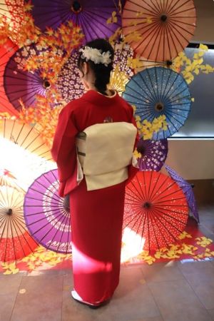 名古屋帯プラン