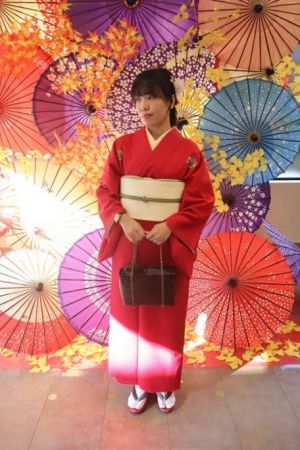 名古屋帯プラン