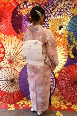 名古屋帯プラン