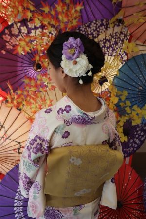 名古屋帯プラン