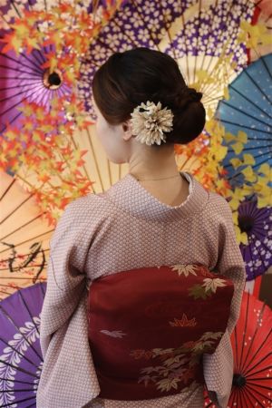 名古屋帯プラン