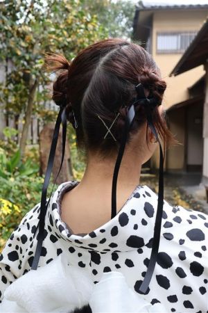 デラックスチョイス