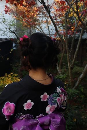 フリーチョイスヘアセット