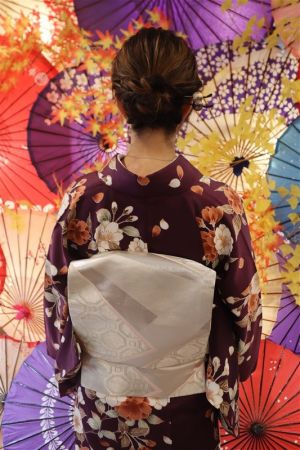 名古屋帯プラン