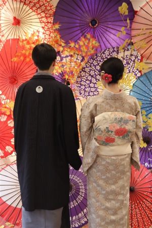 名古屋帯プラン