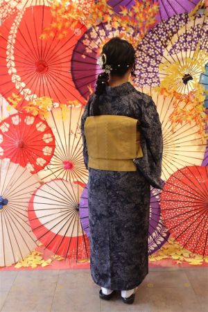 名古屋帯プラン