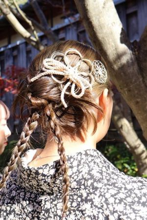 デラックスチョイス