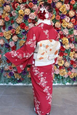 名古屋帯プラン