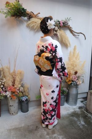 名古屋帯プラン