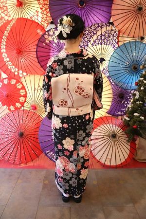 名古屋帯プラン