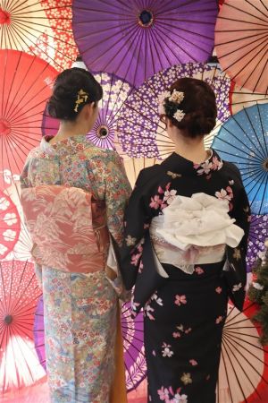 名古屋帯プラン