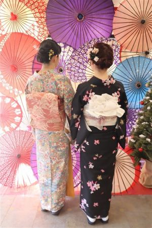 名古屋帯プラン