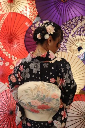 名古屋帯プラン