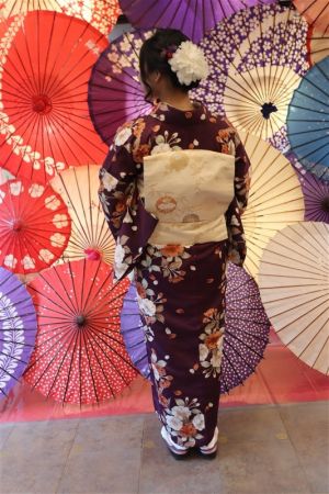 名古屋帯プラン