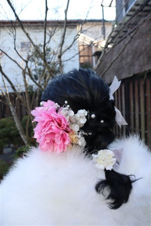 オリジナル8チョイスヘアーセット