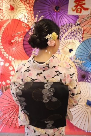 名古屋帯プラン