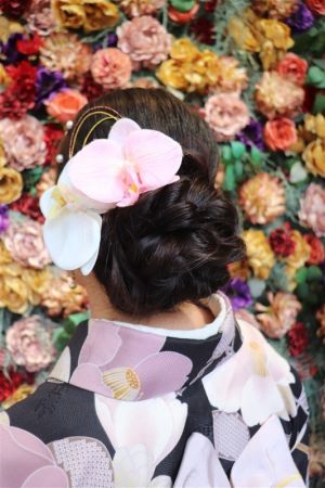 8チョイスヘアーセット