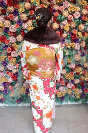 名古屋帯プラン