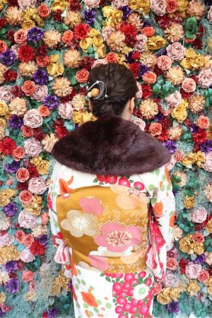 名古屋帯プラン