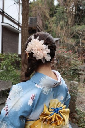 フリーチョイスヘアセット