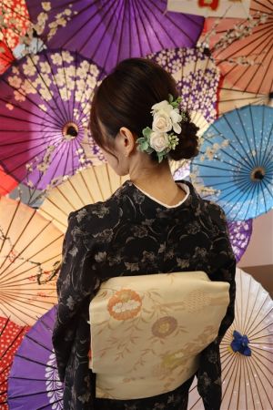 名古屋帯プラン