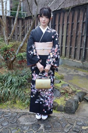 名古屋帯プラン