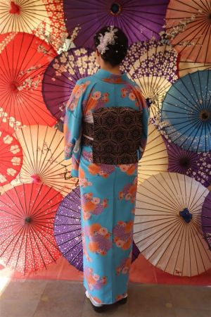 名古屋帯プラン