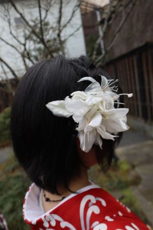 8チョイスヘアーセット