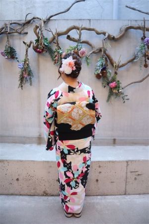 名古屋帯プラン