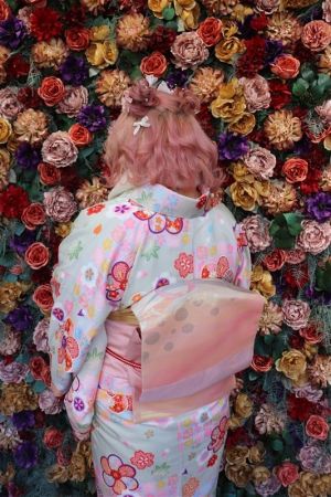 名古屋帯プラン