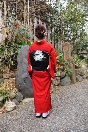 名古屋帯プラン