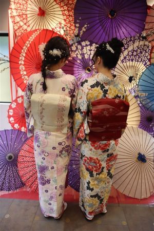 名古屋帯プラン