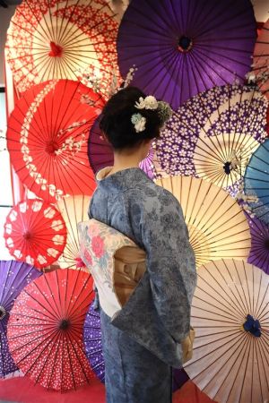 名古屋帯プラン