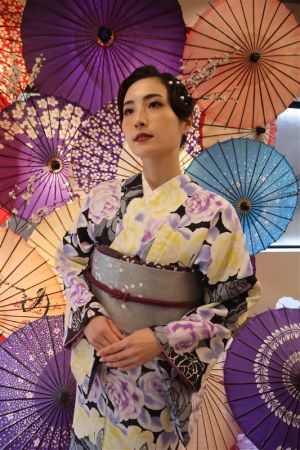 名古屋帯プラン