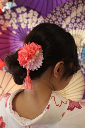 名古屋帯プラン