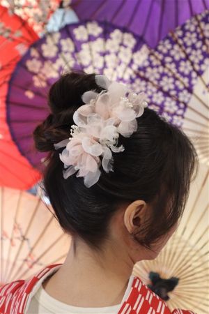 名古屋帯プラン